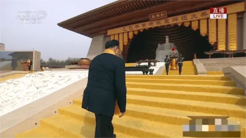 Happy Chick(Ϸģ)v1.8.15 Ѱͼ