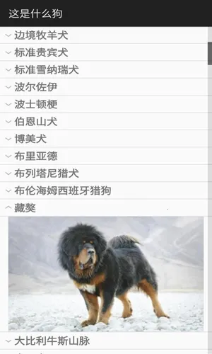 Identify Dog Breeds2025ٷ°汾v1.0 ֻͼ