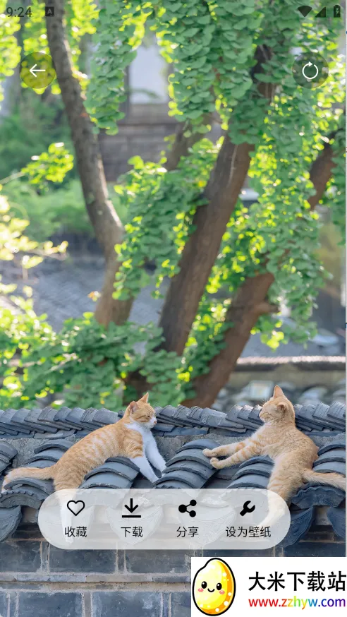 �����ֻ���ֽ2025�ٷ����°汾