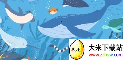 ���С��Ƶ(����Ƶƽ̨)