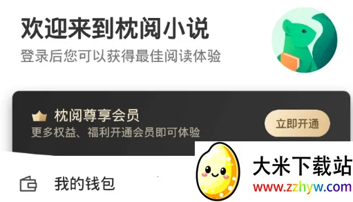 ����С˵(С˵�Ķ�����)