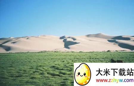 �������2025�ٷ����°汾