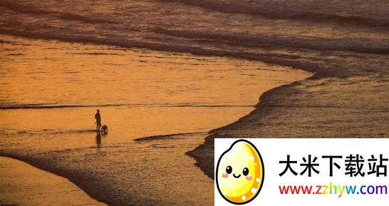 ������ֽpro2025���ذ�װ