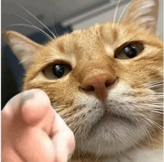 ī��Ӱ��(Ӱ�Ӳ�������)v2023 ��Ѱ�