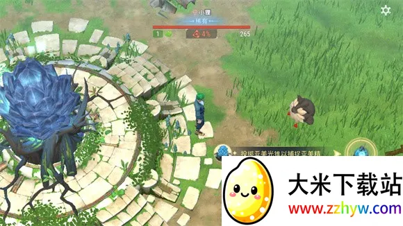 Amikin������ʷ�