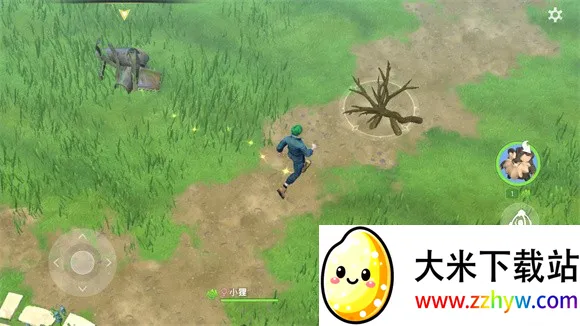 Amikin������ʷ�