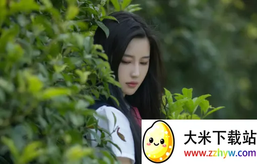 �����������(�������չ���)