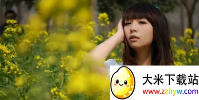 ���Ľ���(��������ƽ̨)