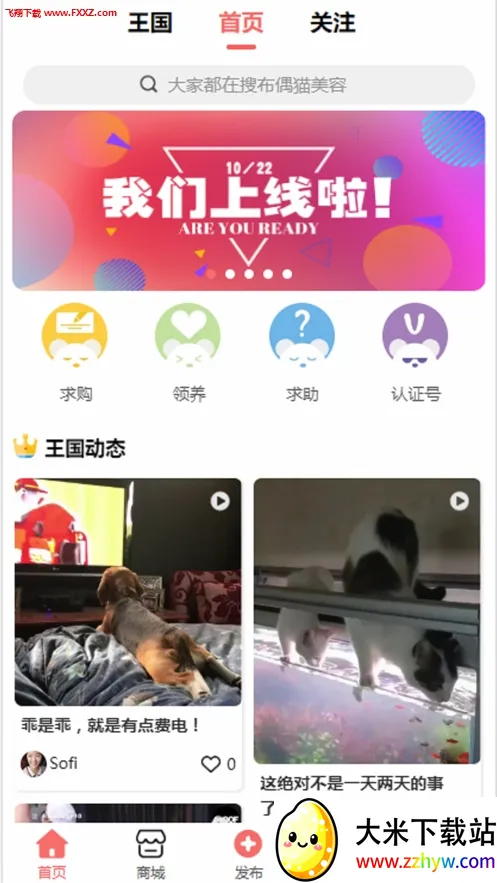 ��������2025�ٷ����°汾