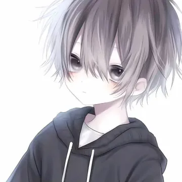 ��������2025�ٷ����°汾v990 �ֻ���