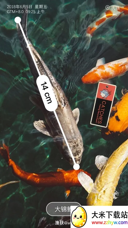 �������Ԥ��2025���ذ�װv5.1.1 �ٷ������ͼ