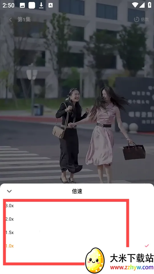 �ȹ�̾�2025�ٷ�����