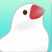 ��������2025���°汾v1.1 �ֻ���