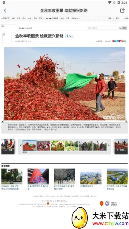 ����Ա�����ֻ���