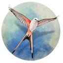 չ�᰿��(���࿨����Ϸ)v1.5.546 ��Ѱ�