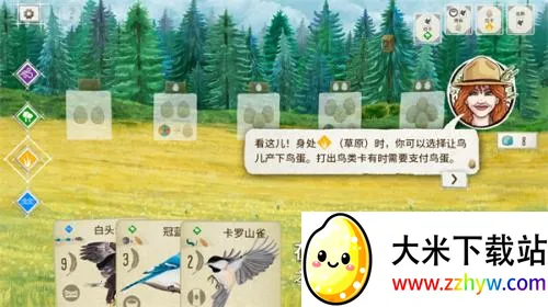 展翅翱翔(鸟类卡牌游戏) 展翅翱翔(鸟类卡牌游戏)