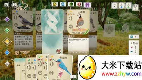 展翅翱翔(鸟类卡牌游戏) 展翅翱翔(鸟类卡牌游戏)