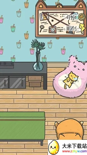 ���ص�è����̽�簲׿���ֻ���