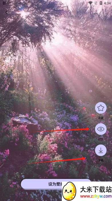 painter�滭�尲׿���ֻ���