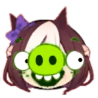 ����è2026�ٷ����°汾