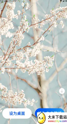 �������Ż�2026���°汾