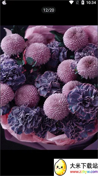 ��ѡ�ʻ�2026�ٷ����°汾