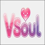 vsoul΢��v4.0.4 �ֻ���