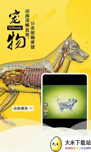 3Dbody����v8.8.72 ��Ѱ��ͼ