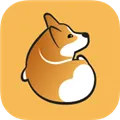 corgi���ذ�׿��v2.2.1 �ֻ���