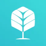 ���ſ��ڹ���v25.9.1 �ٷ�����