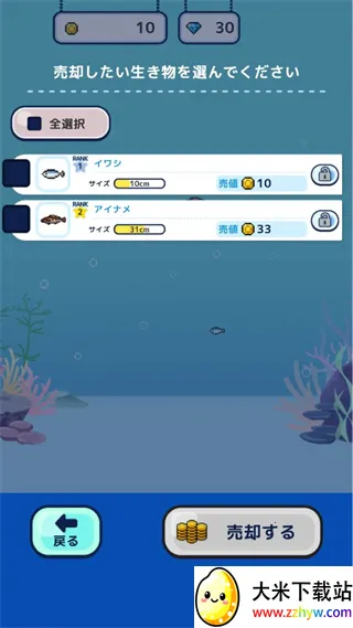 ���ص�������