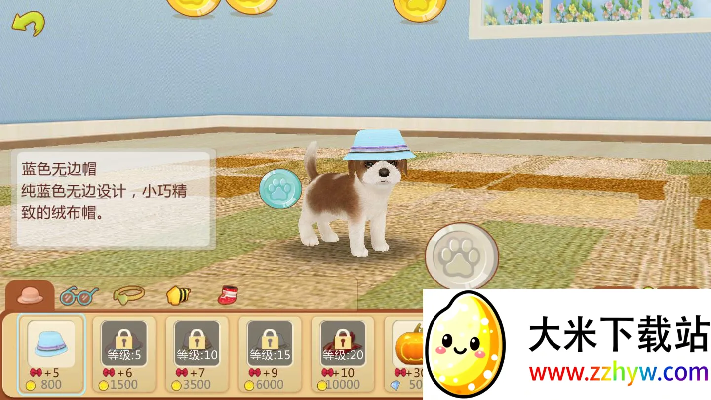 �Ķ�С��2026�ٷ�����