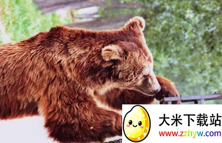 �й�����԰Э��2026���°汾