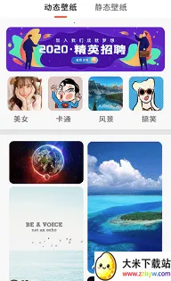 ��ֽ���⾫ѡ