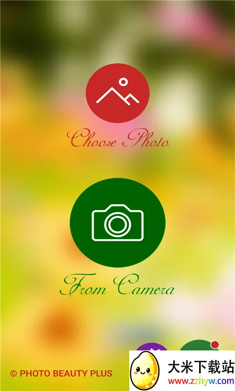 ��ױ���2026�ٷ����°汾