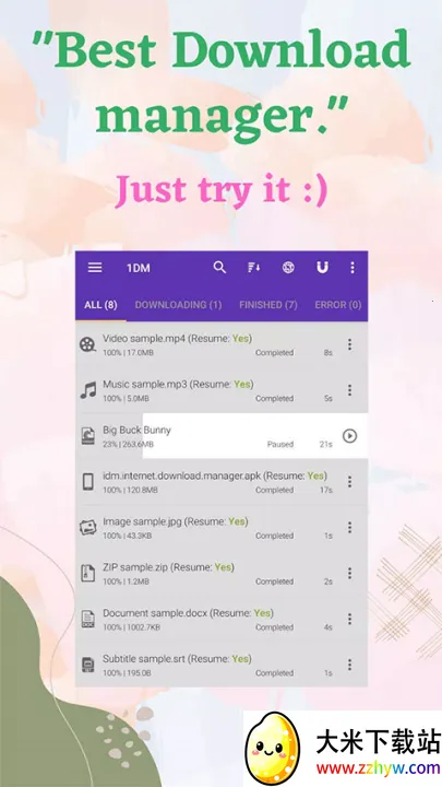 idm������v18.2 �ٷ������ͼ