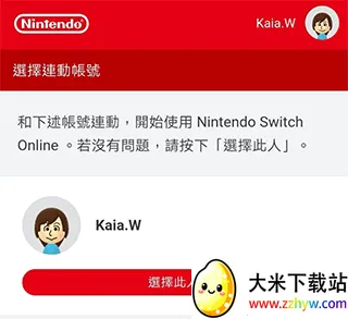 NintendoStore app