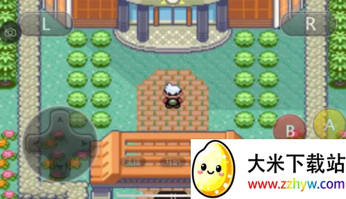 �ڴ��������������������ײ˵�