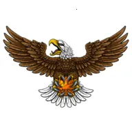 ��ӥTV��׿���ֻ���v8.7 ��׿��