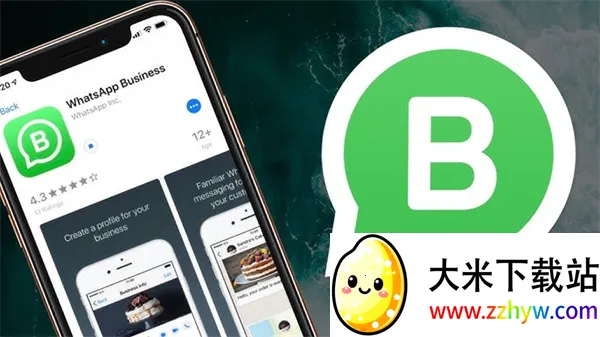 whatsapp(��ʱͨѶ����)