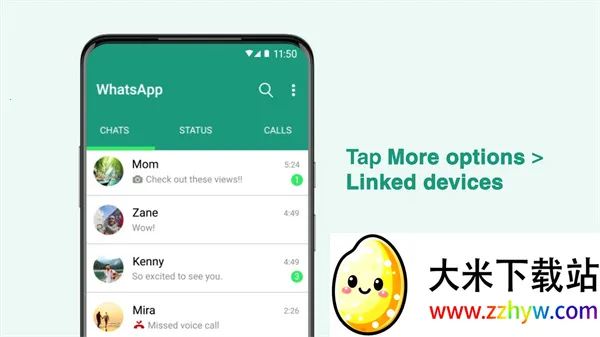 whatsapp(��ʱͨѶ����)