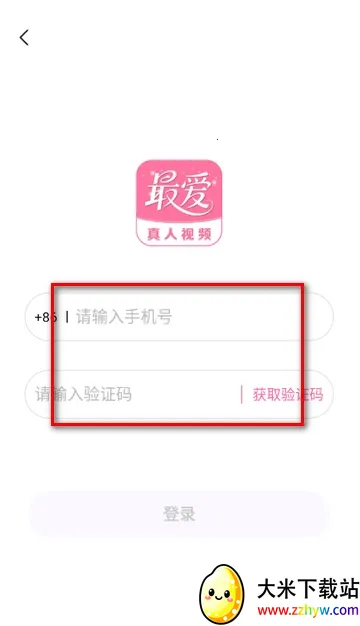 �����(�罻��������)