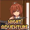 Night Adventure�����ֻ���
