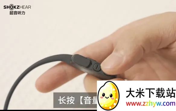 ShokzHear(������������)