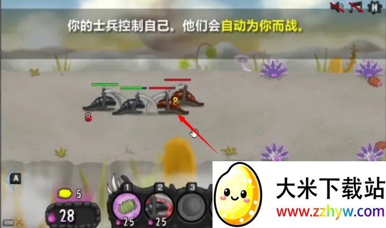 ���Ů�������������