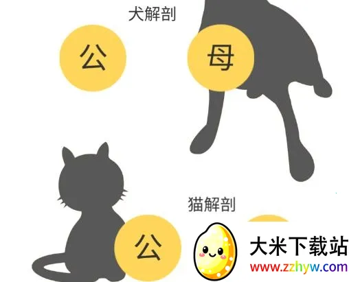 3dbody宠物版免费 3dbody宠物版免费