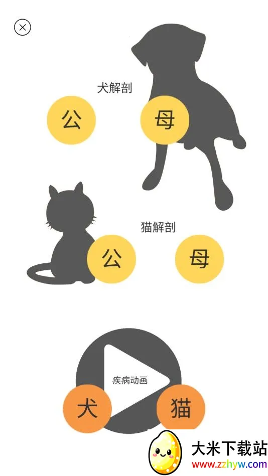 3dbody��������v8.8.72 ��׿���ͼ