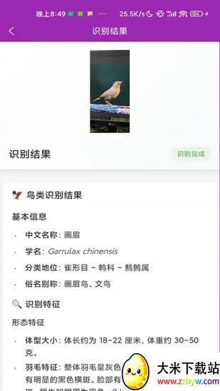 ʶ��(����ʶ�𹤾�)v1.1.0 �ֻ����ͼ