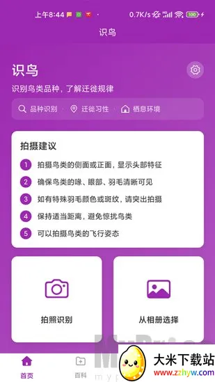 识鸟(鸟类识别工具) 识鸟(鸟类识别工具)