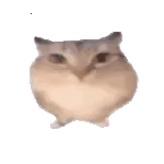 �ͰͲ�һ2026���°汾v1.0 ��׿��